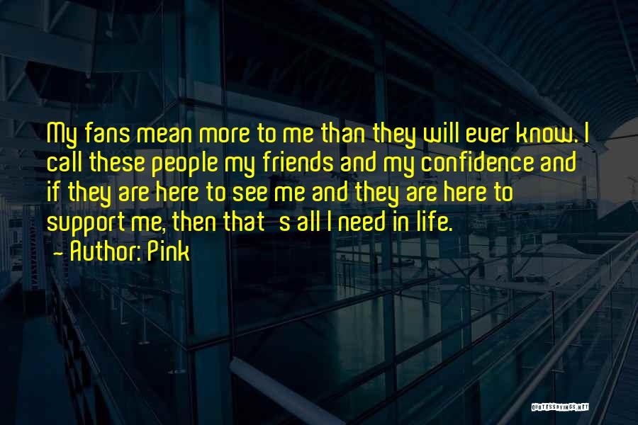 Pink Quotes: My Fans Mean More To Me Than They Will Ever Know. I Call These People My Friends And My Confidence