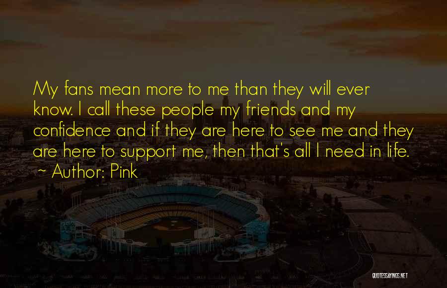 Pink Quotes: My Fans Mean More To Me Than They Will Ever Know. I Call These People My Friends And My Confidence