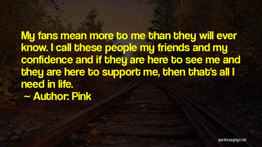 Pink Quotes: My Fans Mean More To Me Than They Will Ever Know. I Call These People My Friends And My Confidence