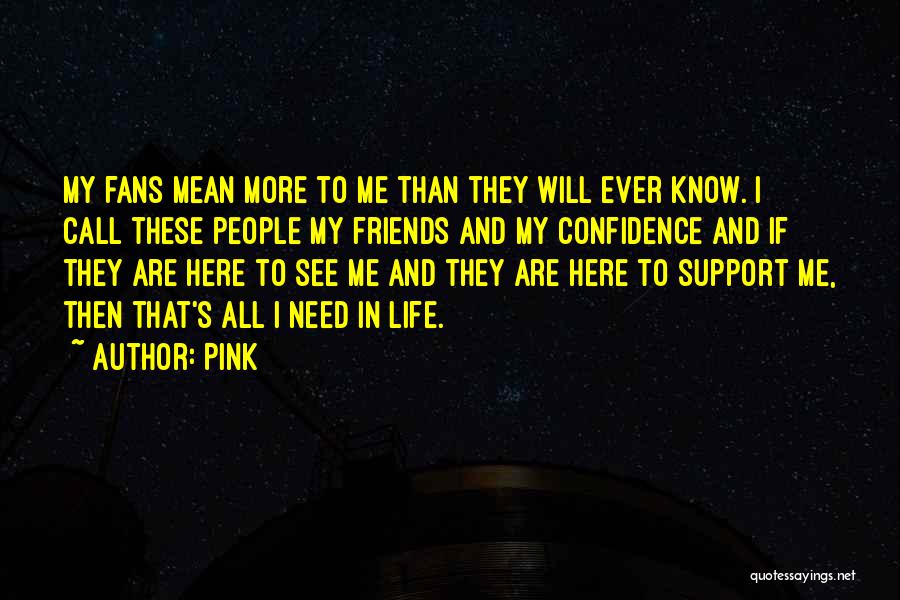 Pink Quotes: My Fans Mean More To Me Than They Will Ever Know. I Call These People My Friends And My Confidence