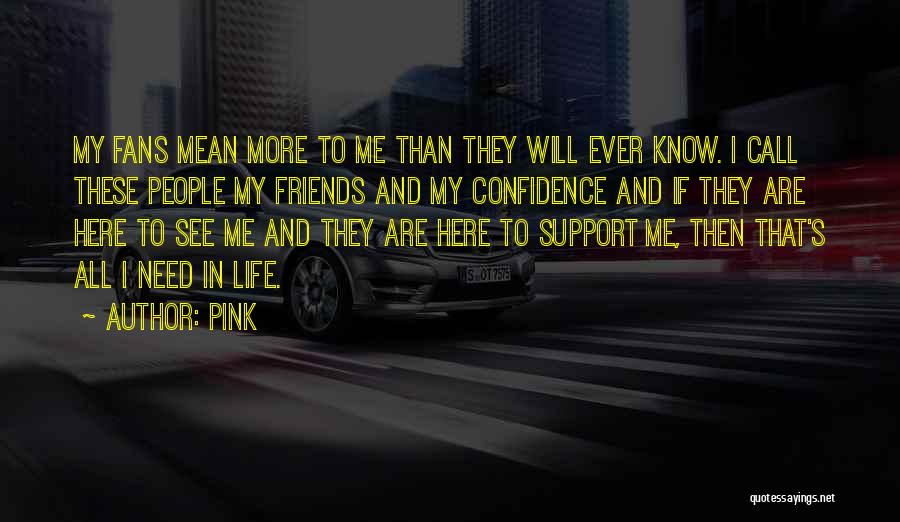 Pink Quotes: My Fans Mean More To Me Than They Will Ever Know. I Call These People My Friends And My Confidence