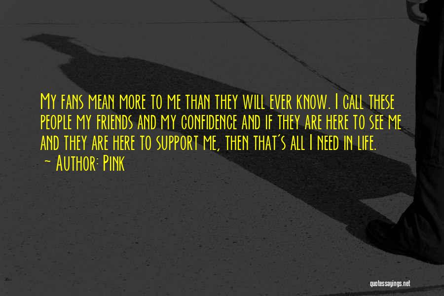 Pink Quotes: My Fans Mean More To Me Than They Will Ever Know. I Call These People My Friends And My Confidence