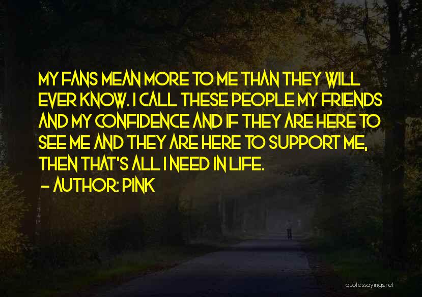 Pink Quotes: My Fans Mean More To Me Than They Will Ever Know. I Call These People My Friends And My Confidence