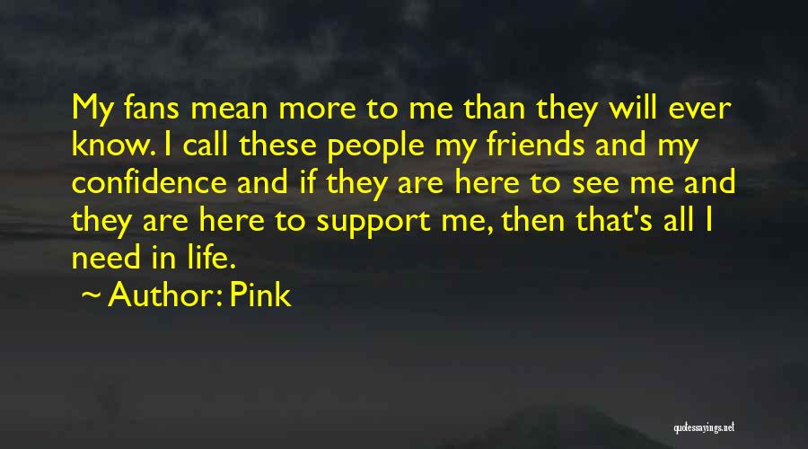 Pink Quotes: My Fans Mean More To Me Than They Will Ever Know. I Call These People My Friends And My Confidence