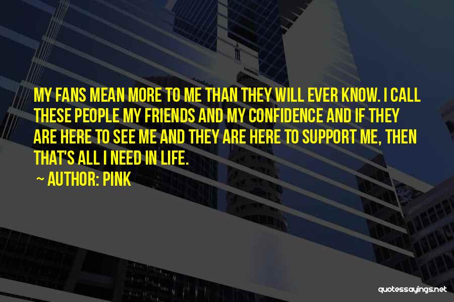 Pink Quotes: My Fans Mean More To Me Than They Will Ever Know. I Call These People My Friends And My Confidence