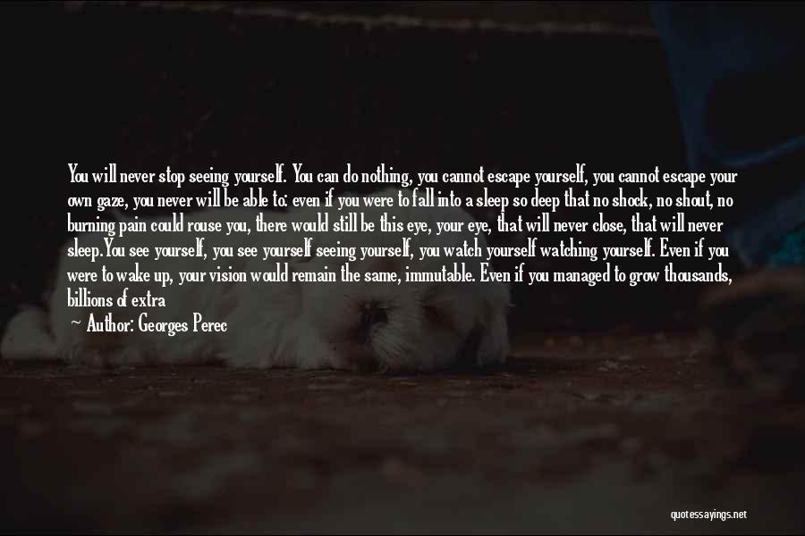 Georges Perec Quotes: You Will Never Stop Seeing Yourself. You Can Do Nothing, You Cannot Escape Yourself, You Cannot Escape Your Own Gaze,