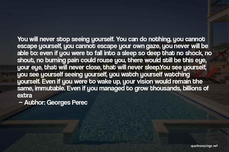 Georges Perec Quotes: You Will Never Stop Seeing Yourself. You Can Do Nothing, You Cannot Escape Yourself, You Cannot Escape Your Own Gaze,