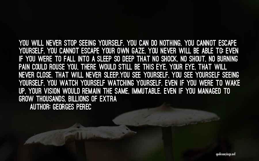 Georges Perec Quotes: You Will Never Stop Seeing Yourself. You Can Do Nothing, You Cannot Escape Yourself, You Cannot Escape Your Own Gaze,