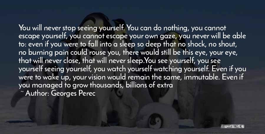 Georges Perec Quotes: You Will Never Stop Seeing Yourself. You Can Do Nothing, You Cannot Escape Yourself, You Cannot Escape Your Own Gaze,