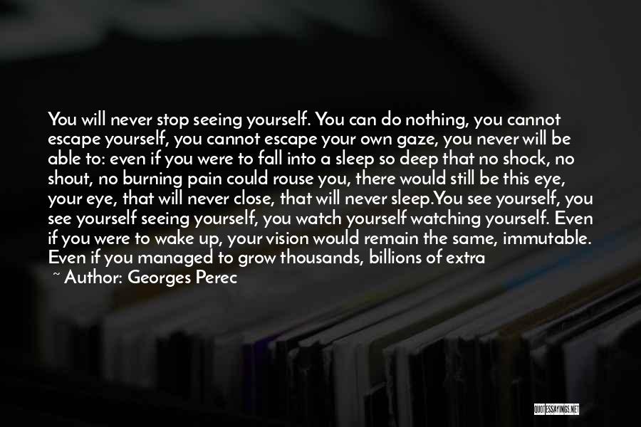 Georges Perec Quotes: You Will Never Stop Seeing Yourself. You Can Do Nothing, You Cannot Escape Yourself, You Cannot Escape Your Own Gaze,