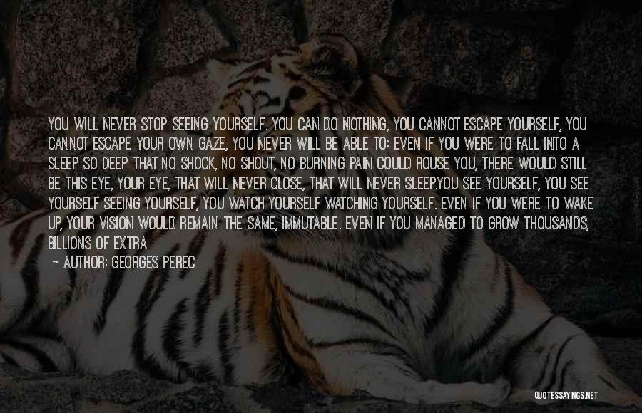 Georges Perec Quotes: You Will Never Stop Seeing Yourself. You Can Do Nothing, You Cannot Escape Yourself, You Cannot Escape Your Own Gaze,