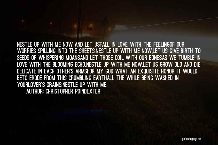 Christopher Poindexter Quotes: Nestle Up With Me Now And Let Usfall In Love With The Feelingof Our Worries Spilling Into The Sheets.nestle Up