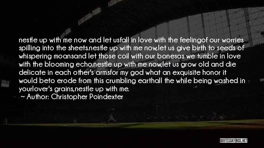 Christopher Poindexter Quotes: Nestle Up With Me Now And Let Usfall In Love With The Feelingof Our Worries Spilling Into The Sheets.nestle Up