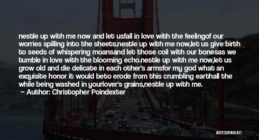 Christopher Poindexter Quotes: Nestle Up With Me Now And Let Usfall In Love With The Feelingof Our Worries Spilling Into The Sheets.nestle Up