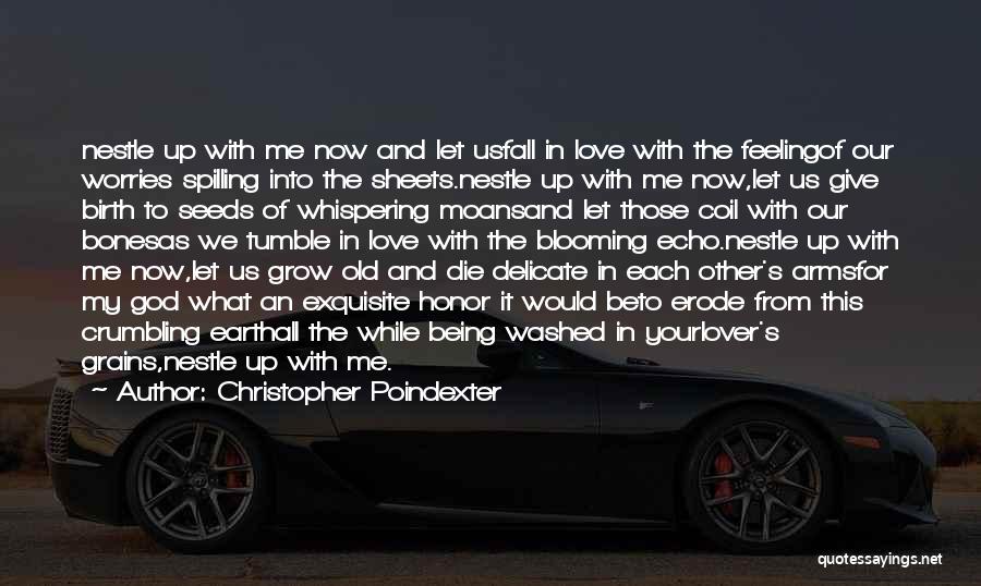 Christopher Poindexter Quotes: Nestle Up With Me Now And Let Usfall In Love With The Feelingof Our Worries Spilling Into The Sheets.nestle Up