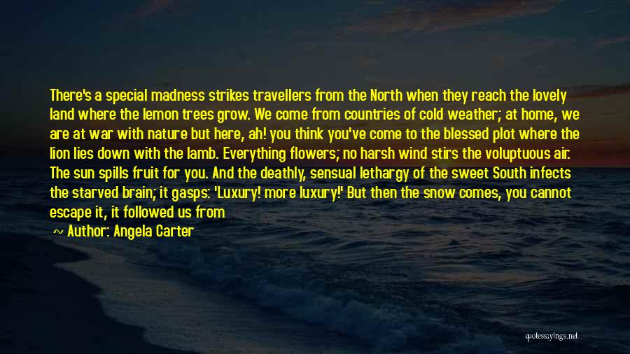 Angela Carter Quotes: There's A Special Madness Strikes Travellers From The North When They Reach The Lovely Land Where The Lemon Trees Grow.