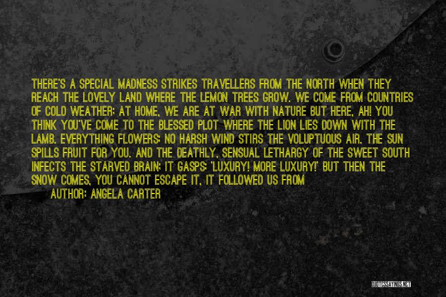 Angela Carter Quotes: There's A Special Madness Strikes Travellers From The North When They Reach The Lovely Land Where The Lemon Trees Grow.