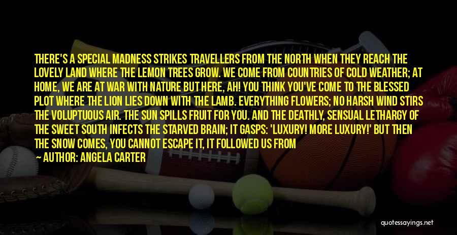 Angela Carter Quotes: There's A Special Madness Strikes Travellers From The North When They Reach The Lovely Land Where The Lemon Trees Grow.
