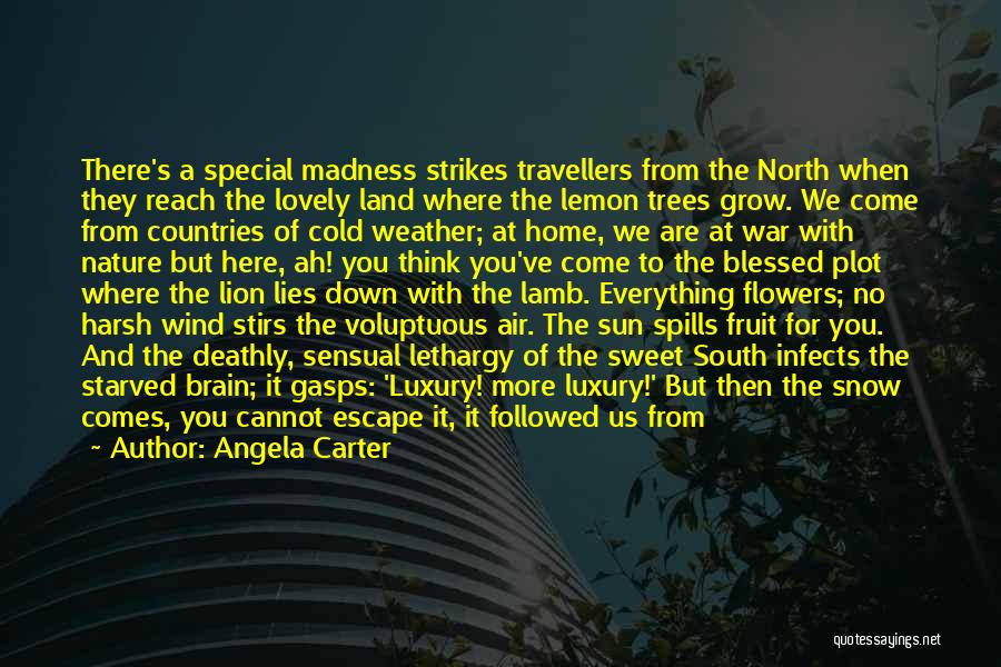Angela Carter Quotes: There's A Special Madness Strikes Travellers From The North When They Reach The Lovely Land Where The Lemon Trees Grow.