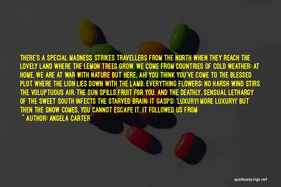 Angela Carter Quotes: There's A Special Madness Strikes Travellers From The North When They Reach The Lovely Land Where The Lemon Trees Grow.