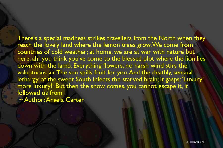 Angela Carter Quotes: There's A Special Madness Strikes Travellers From The North When They Reach The Lovely Land Where The Lemon Trees Grow.