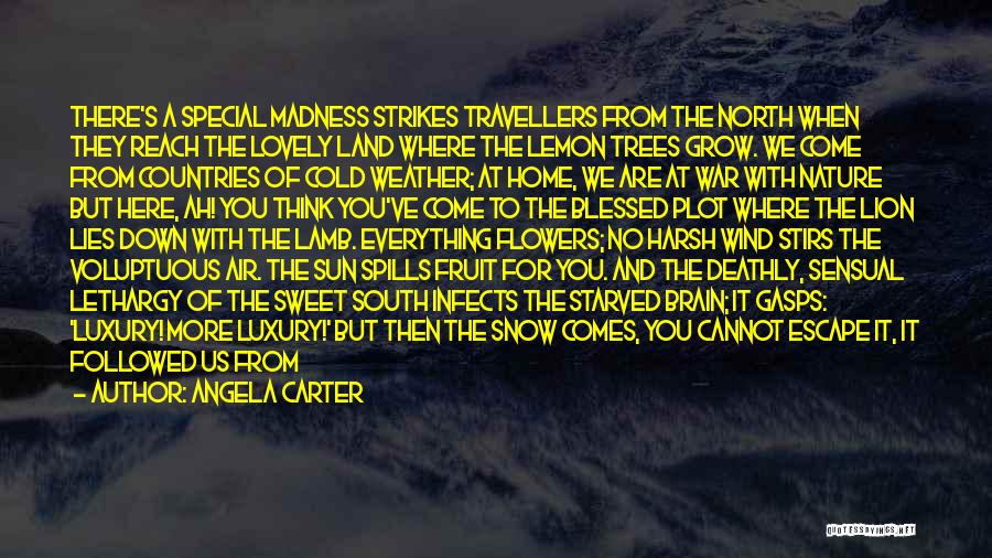 Angela Carter Quotes: There's A Special Madness Strikes Travellers From The North When They Reach The Lovely Land Where The Lemon Trees Grow.