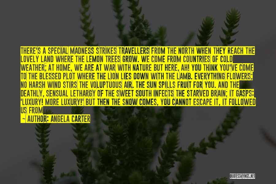 Angela Carter Quotes: There's A Special Madness Strikes Travellers From The North When They Reach The Lovely Land Where The Lemon Trees Grow.