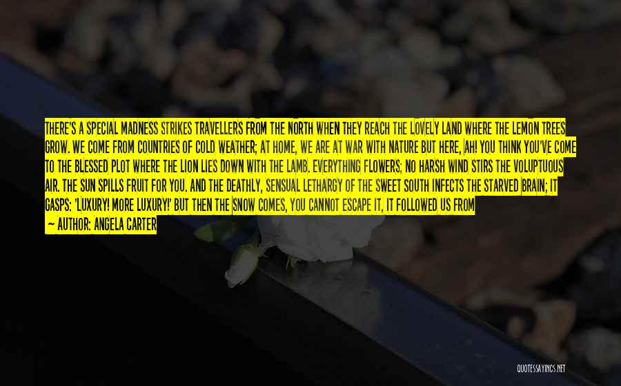 Angela Carter Quotes: There's A Special Madness Strikes Travellers From The North When They Reach The Lovely Land Where The Lemon Trees Grow.