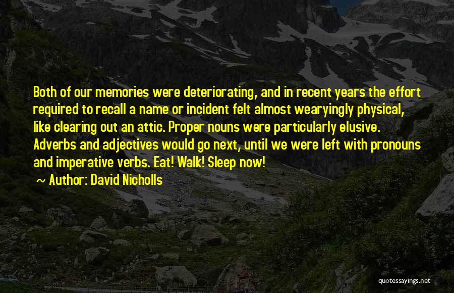 David Nicholls Quotes: Both Of Our Memories Were Deteriorating, And In Recent Years The Effort Required To Recall A Name Or Incident Felt