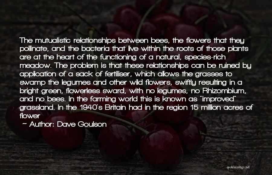 Dave Goulson Quotes: The Mutualistic Relationships Between Bees, The Flowers That They Pollinate, And The Bacteria That Live Within The Roots Of Those