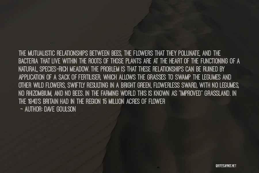Dave Goulson Quotes: The Mutualistic Relationships Between Bees, The Flowers That They Pollinate, And The Bacteria That Live Within The Roots Of Those