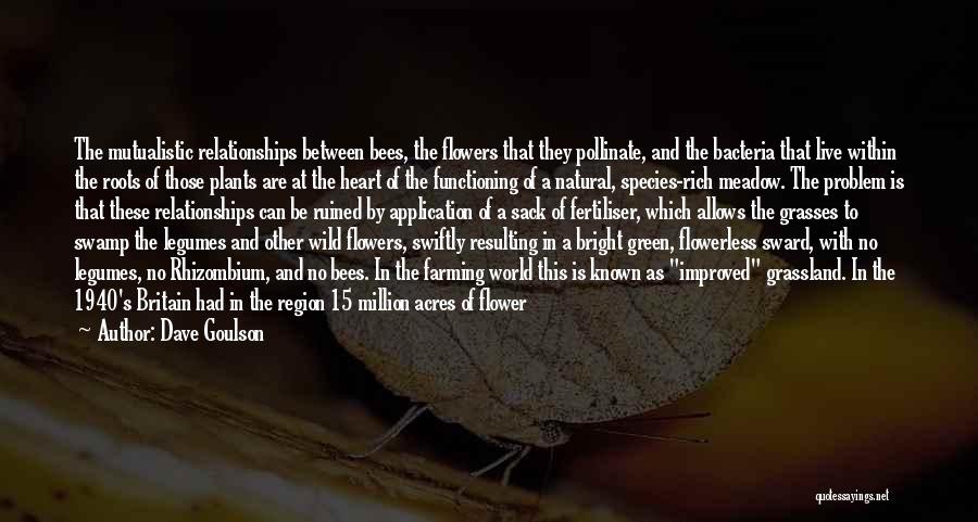 Dave Goulson Quotes: The Mutualistic Relationships Between Bees, The Flowers That They Pollinate, And The Bacteria That Live Within The Roots Of Those