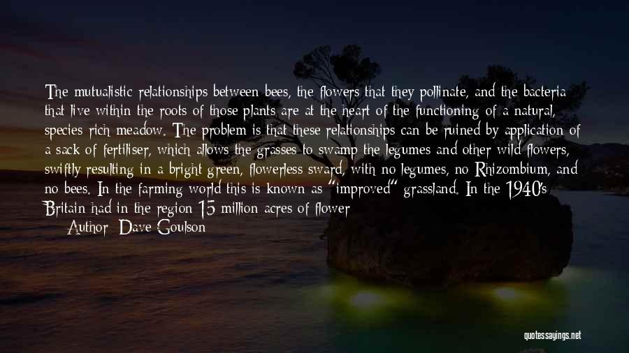 Dave Goulson Quotes: The Mutualistic Relationships Between Bees, The Flowers That They Pollinate, And The Bacteria That Live Within The Roots Of Those