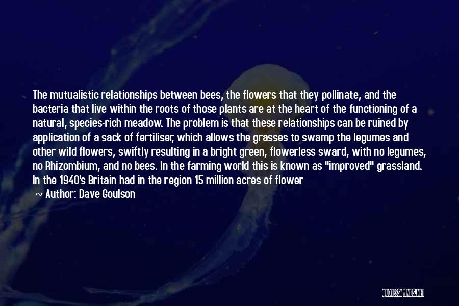 Dave Goulson Quotes: The Mutualistic Relationships Between Bees, The Flowers That They Pollinate, And The Bacteria That Live Within The Roots Of Those