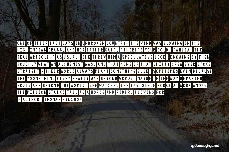 Thomas Pynchon Quotes: One Of Their Last Days In Unbroken Country, The Wind Was Blowing In The High Indian Grass, And Her Father