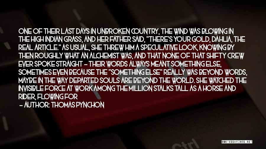 Thomas Pynchon Quotes: One Of Their Last Days In Unbroken Country, The Wind Was Blowing In The High Indian Grass, And Her Father