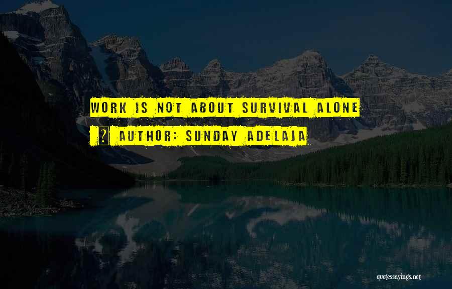 Sunday Adelaja Quotes: Work Is Not About Survival Alone