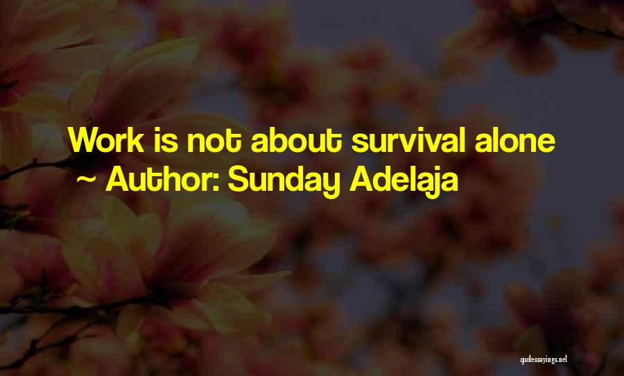 Sunday Adelaja Quotes: Work Is Not About Survival Alone