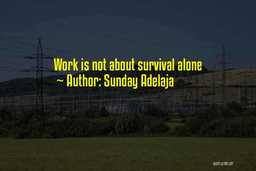 Sunday Adelaja Quotes: Work Is Not About Survival Alone