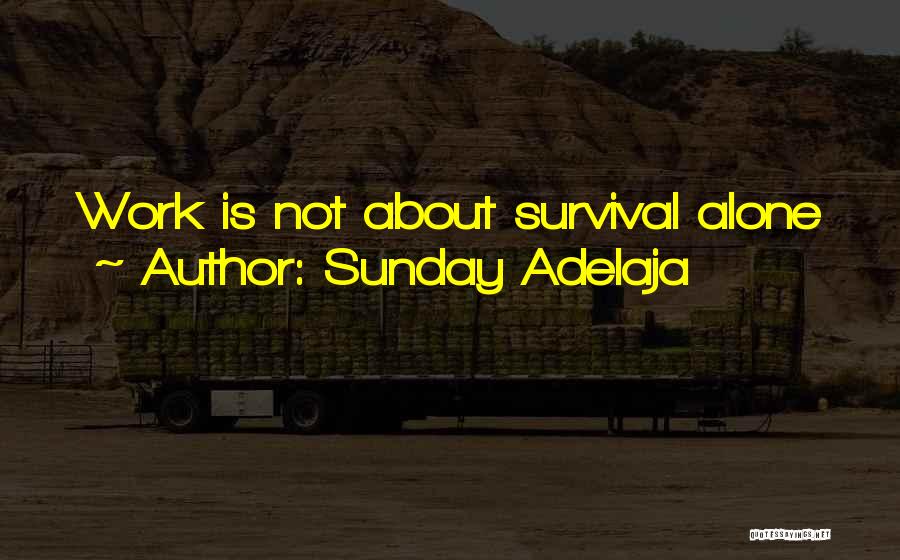 Sunday Adelaja Quotes: Work Is Not About Survival Alone