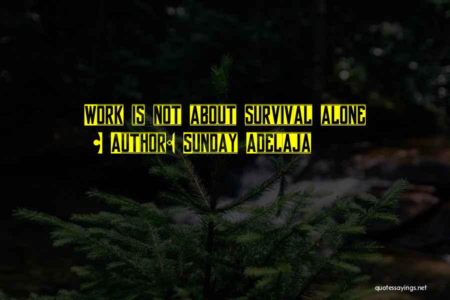 Sunday Adelaja Quotes: Work Is Not About Survival Alone
