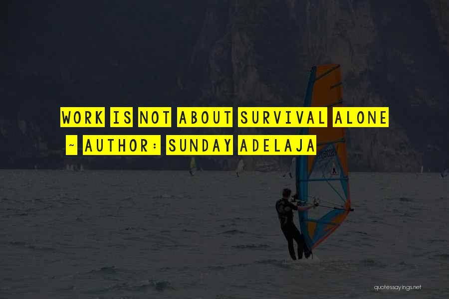 Sunday Adelaja Quotes: Work Is Not About Survival Alone