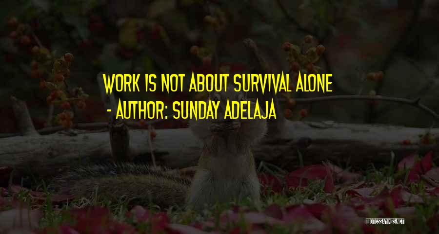 Sunday Adelaja Quotes: Work Is Not About Survival Alone