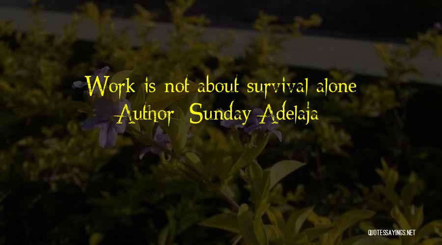 Sunday Adelaja Quotes: Work Is Not About Survival Alone