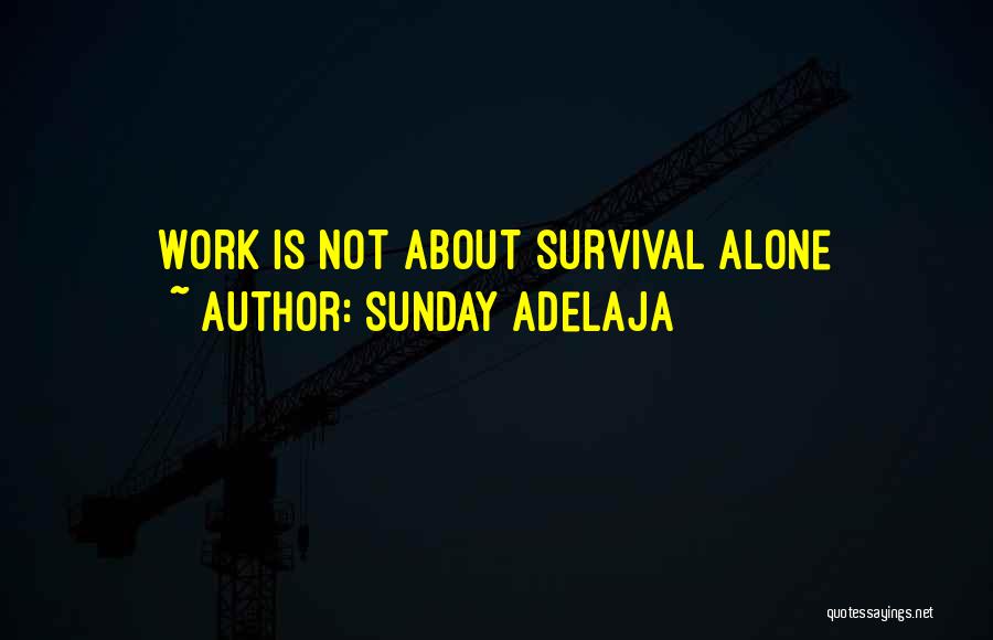 Sunday Adelaja Quotes: Work Is Not About Survival Alone