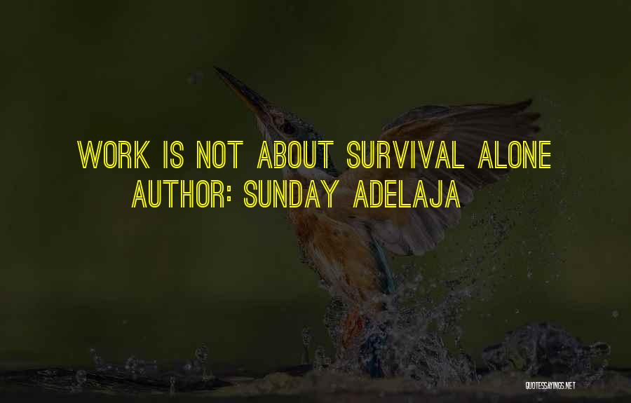 Sunday Adelaja Quotes: Work Is Not About Survival Alone