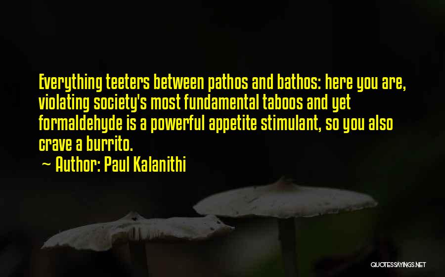 Paul Kalanithi Quotes: Everything Teeters Between Pathos And Bathos: Here You Are, Violating Society's Most Fundamental Taboos And Yet Formaldehyde Is A Powerful