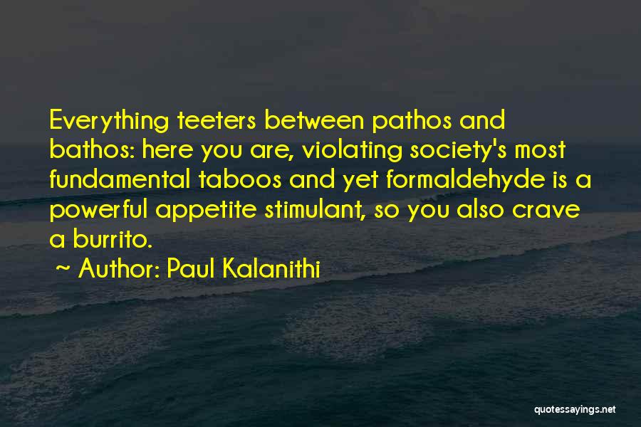 Paul Kalanithi Quotes: Everything Teeters Between Pathos And Bathos: Here You Are, Violating Society's Most Fundamental Taboos And Yet Formaldehyde Is A Powerful