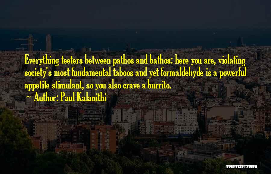 Paul Kalanithi Quotes: Everything Teeters Between Pathos And Bathos: Here You Are, Violating Society's Most Fundamental Taboos And Yet Formaldehyde Is A Powerful