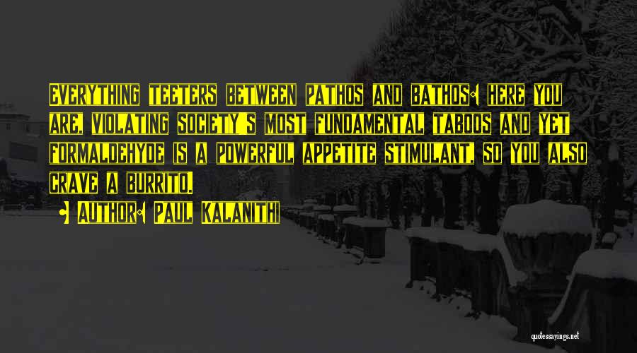 Paul Kalanithi Quotes: Everything Teeters Between Pathos And Bathos: Here You Are, Violating Society's Most Fundamental Taboos And Yet Formaldehyde Is A Powerful